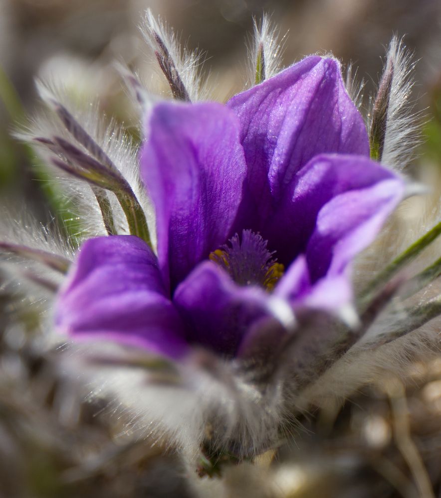 Photograph by Виктор Калинский