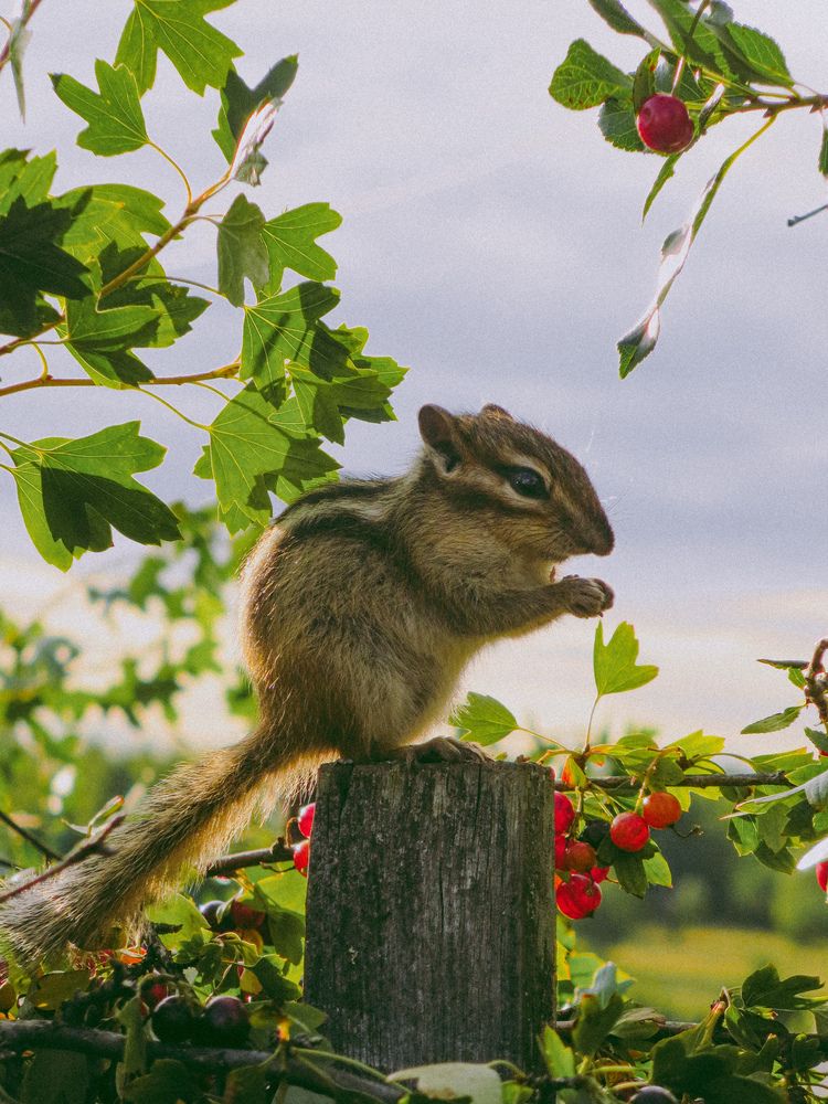 Photograph by Дарья Овсянникова