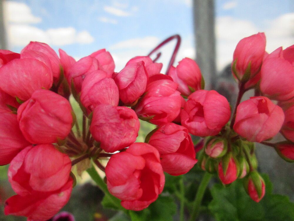 Фотография автора Валентина