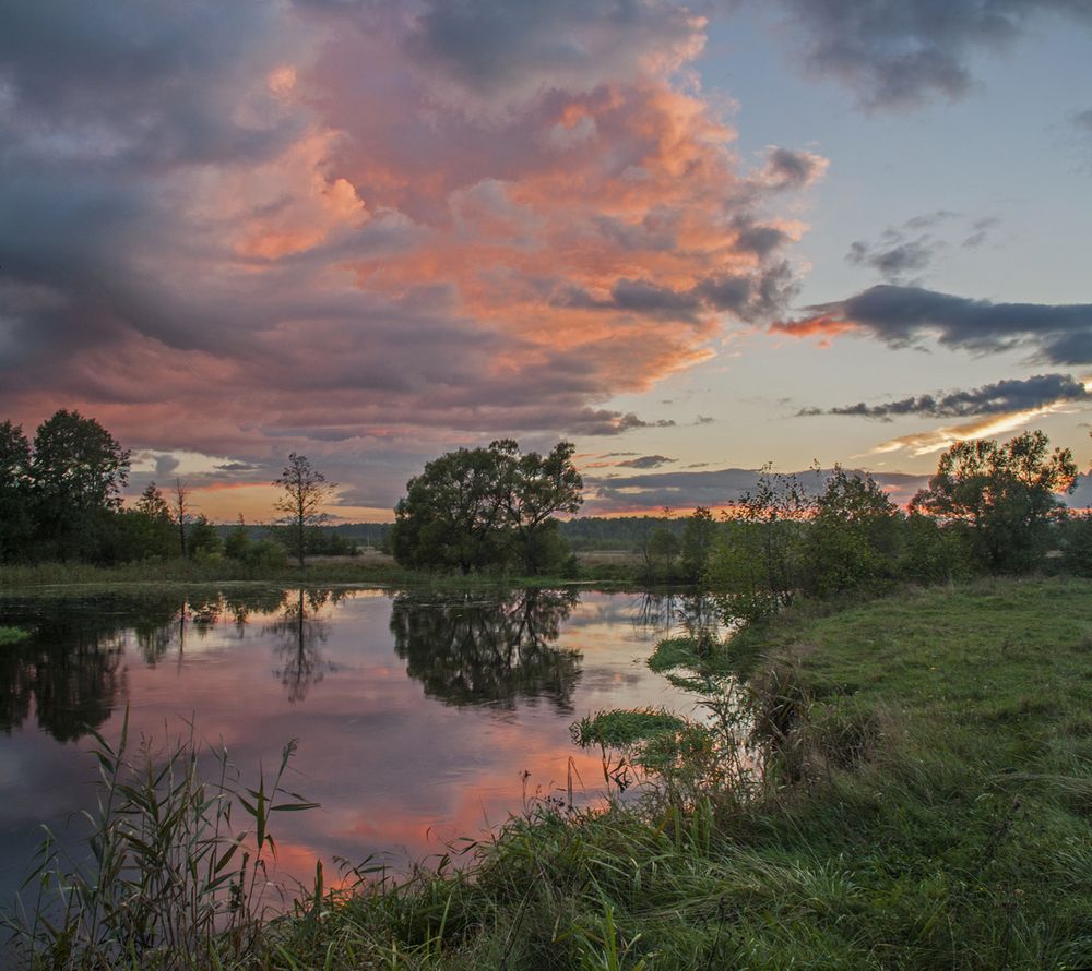 Photograph by Николай Кузьмин