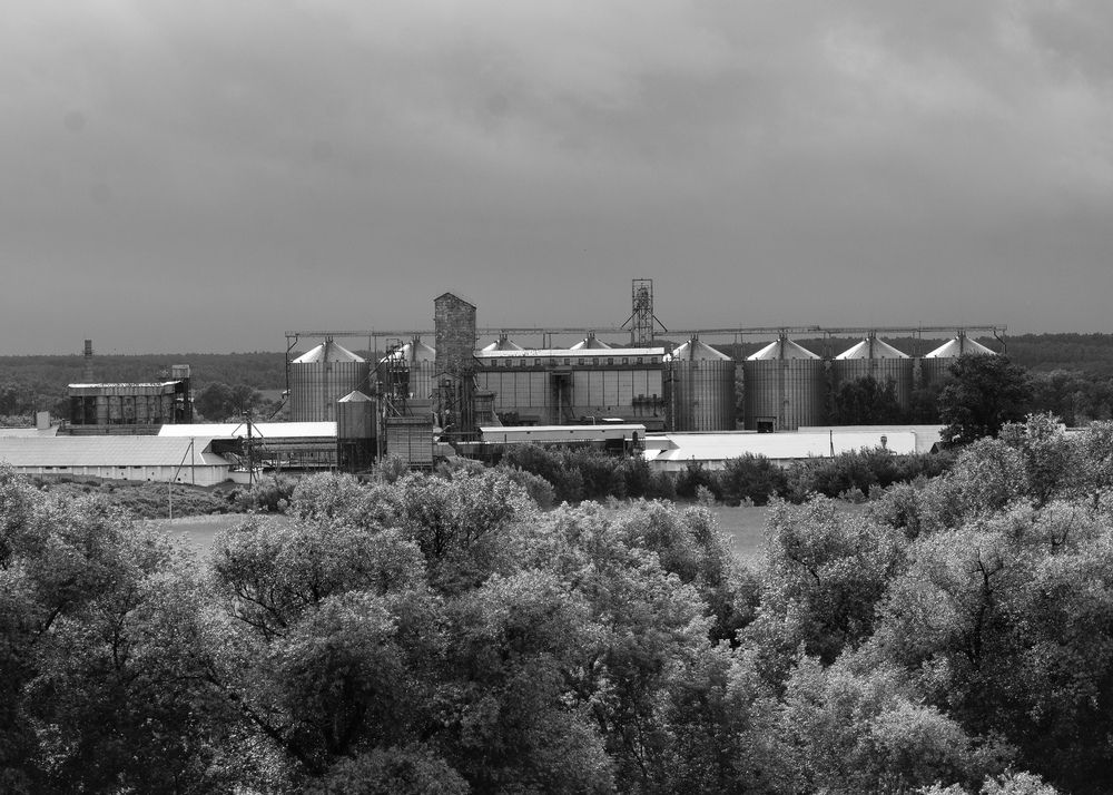 Photograph by Татьяна Зуйкова