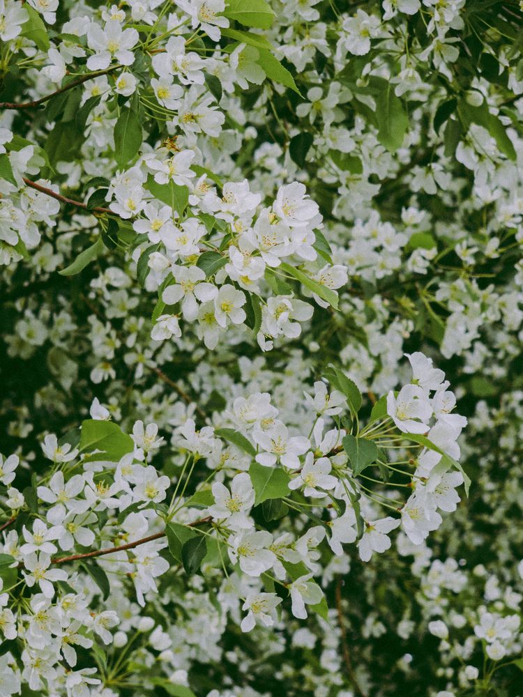 Photograph by Дарья Овсянникова