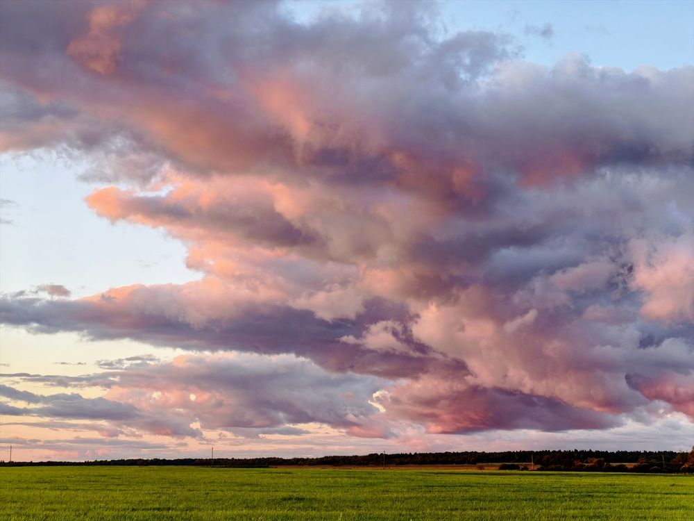 Photograph by Olga Kot