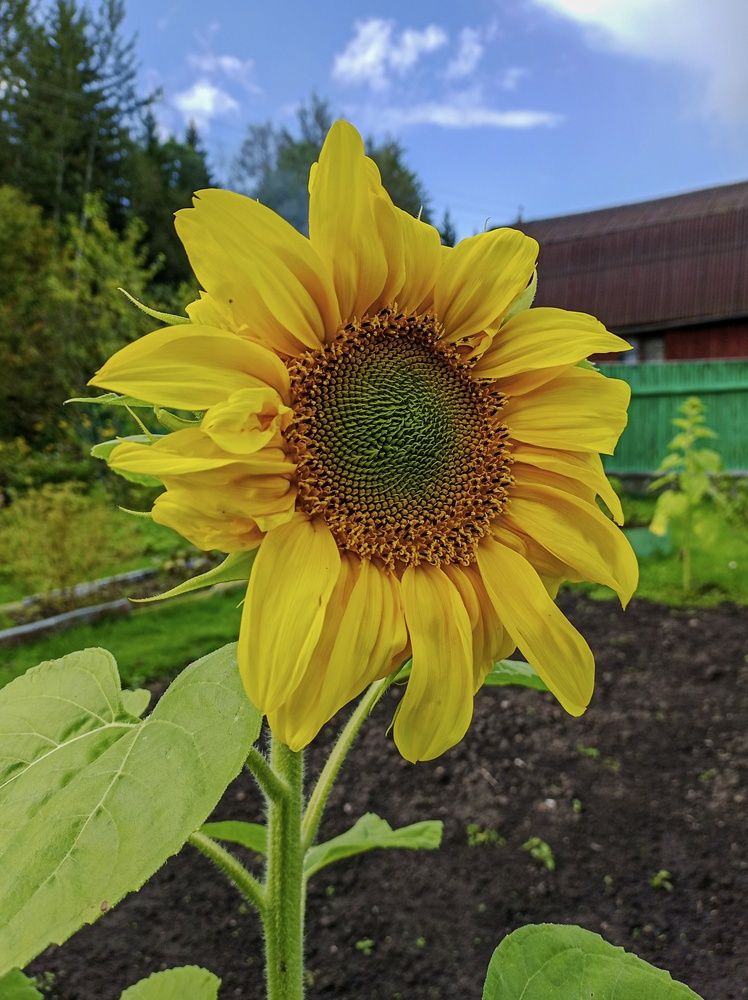 Photograph by Sergey Kurkov-Tarkovsky
