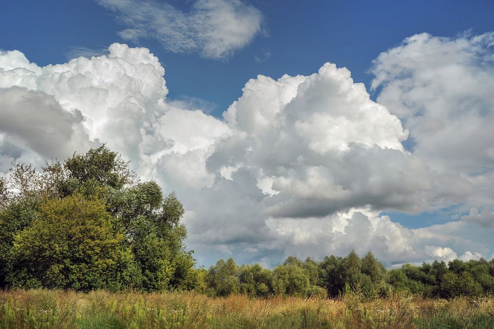 Photograph by Cергей Абакумов