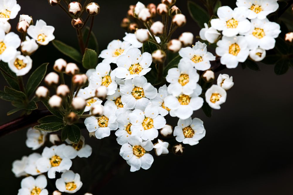 Photograph by Мария Ирешева