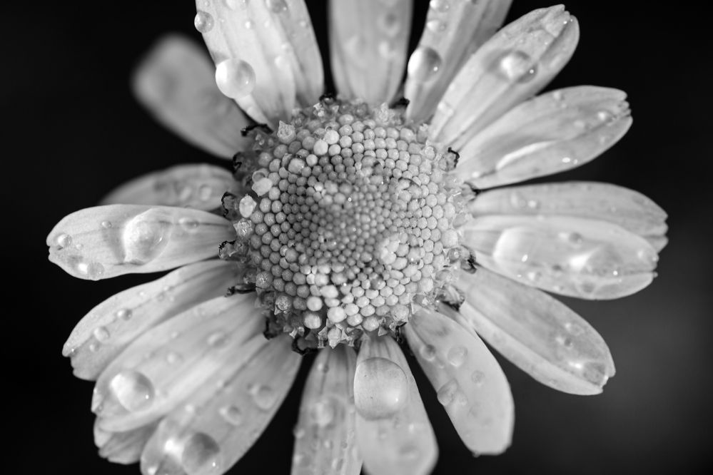 Photograph by Наталия Викторовна