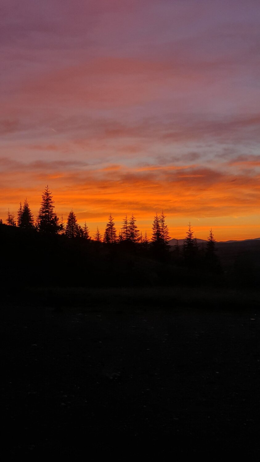 Photo #12508966