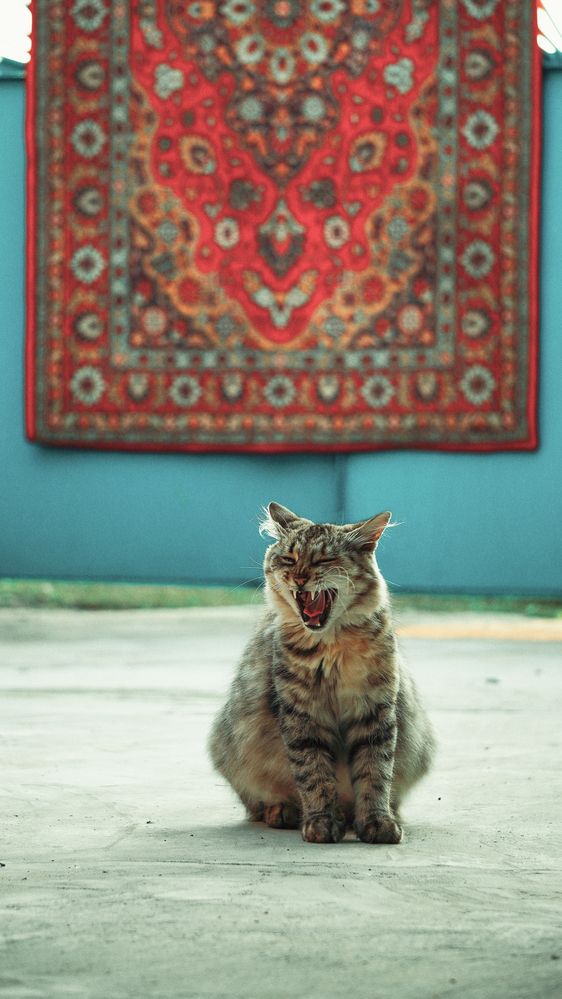 Photograph by Елена