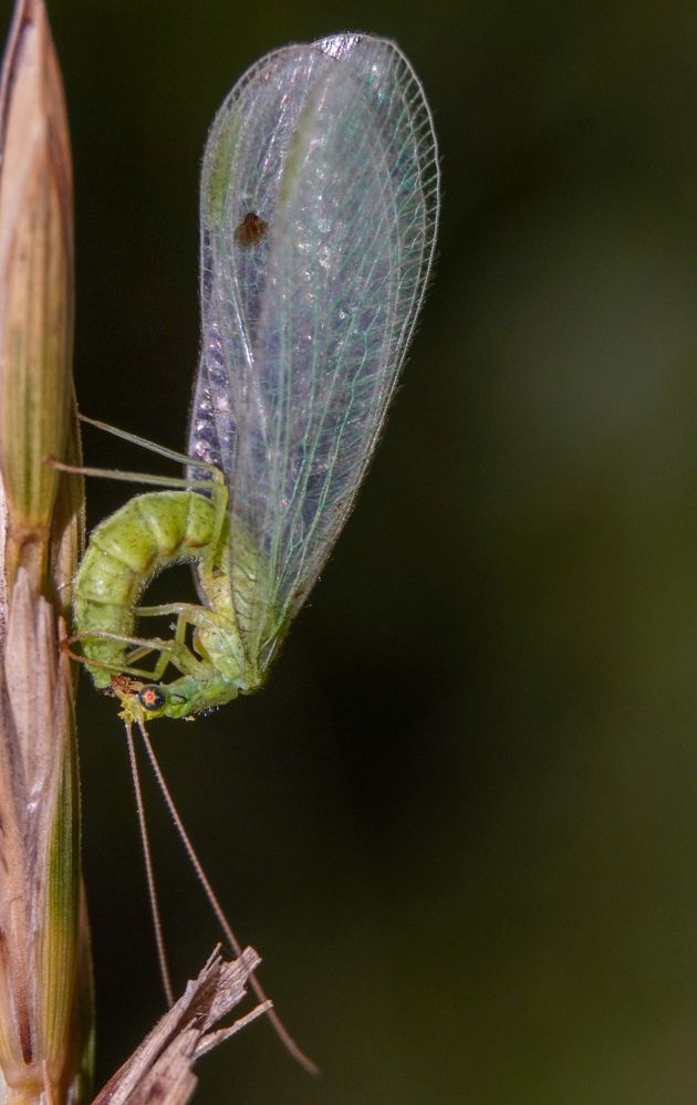 Photograph by Елена