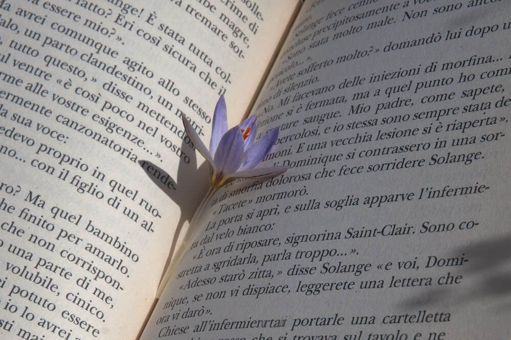 Фотография автора Dana Korolkova