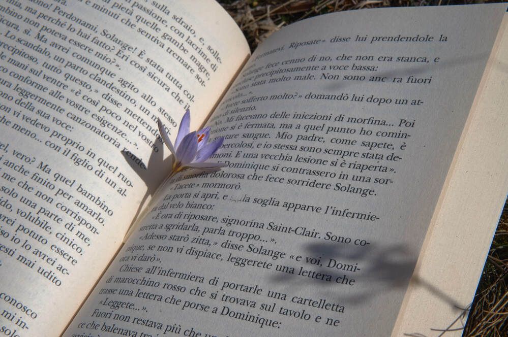 Фотография автора Dana Korolkova