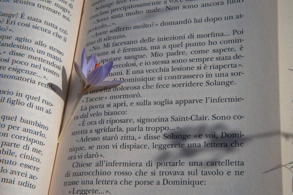 Фотография автора Dana Korolkova