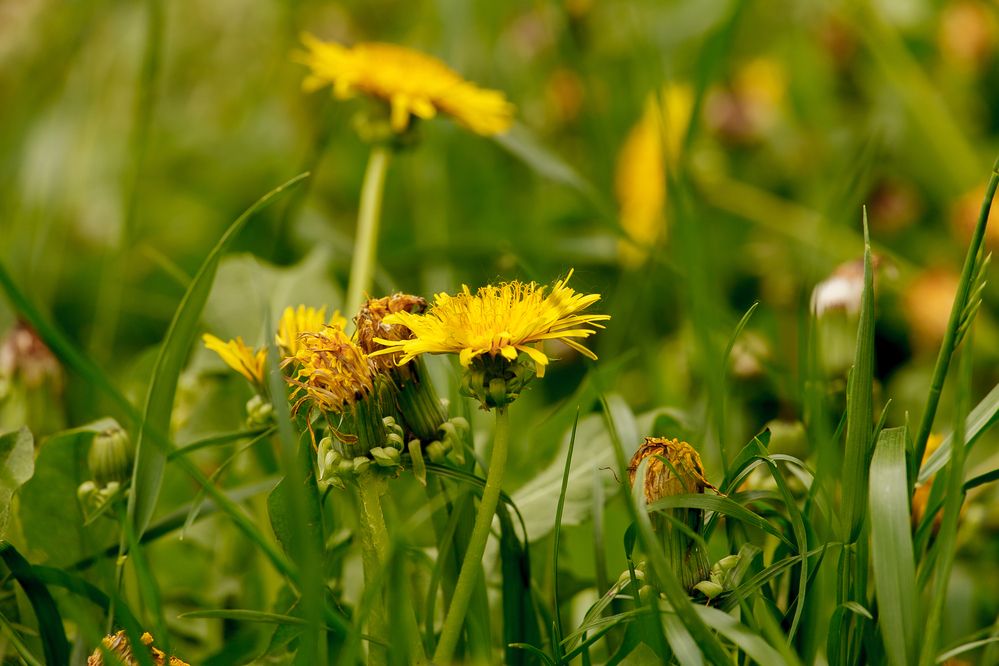 Photograph by Наталия Викторовна