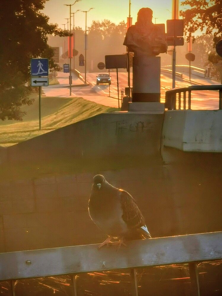 Photograph by Raitis Miksons