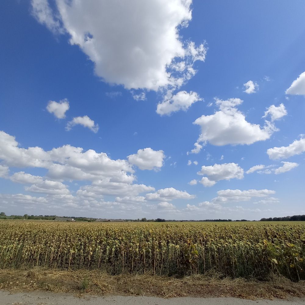 Photograph by Ирина Марченко