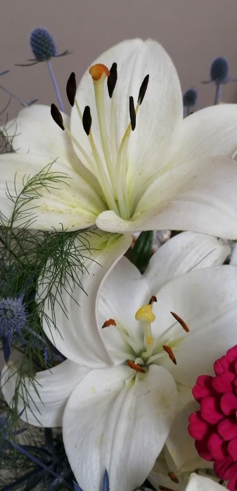 Photograph by Елена Сабирова