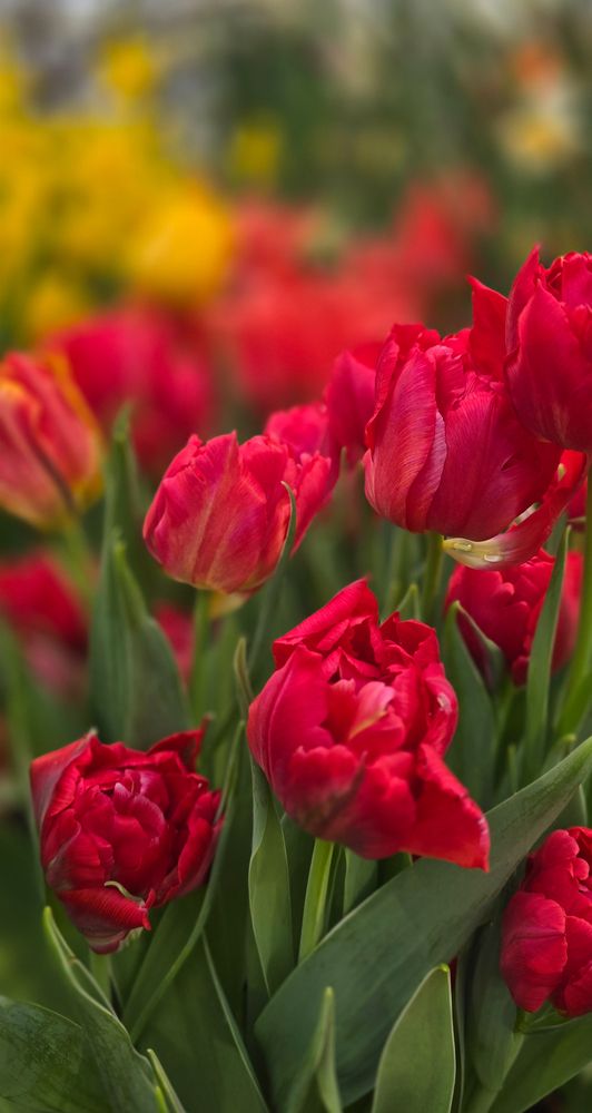 Фотография автора Нина Зинченко