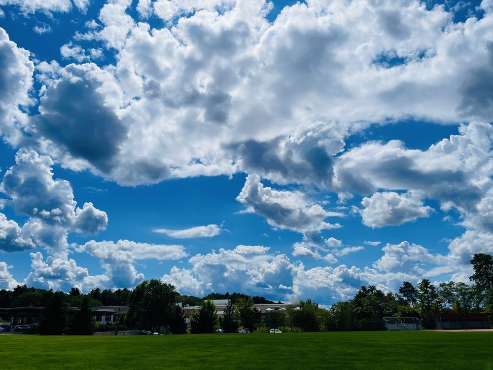 Фотография автора Olga Andriuc