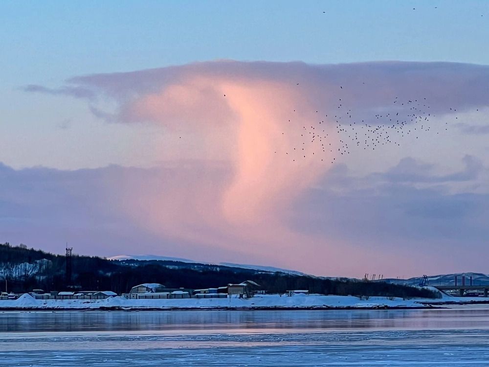 Photograph by Елена Данченко