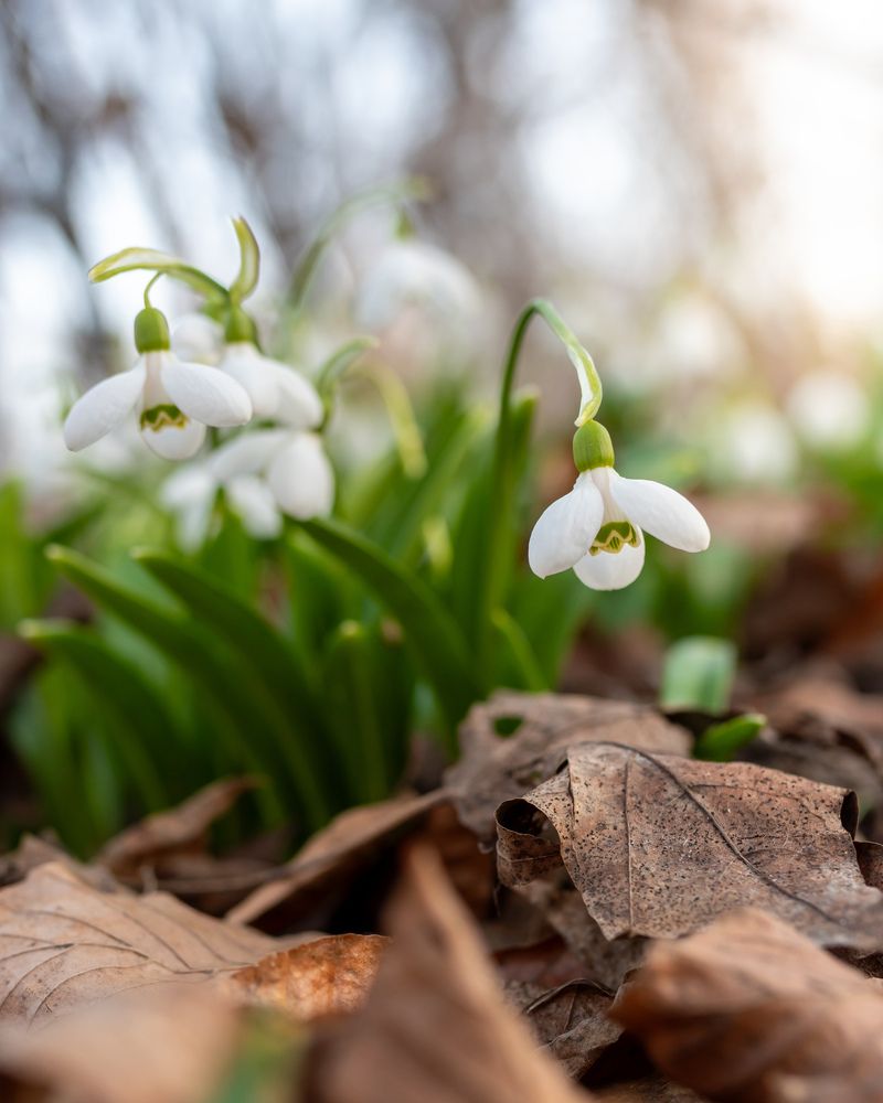 Photograph by Anton Leonchikov
