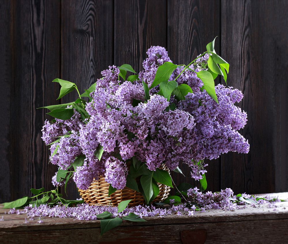 Сиреневые облака