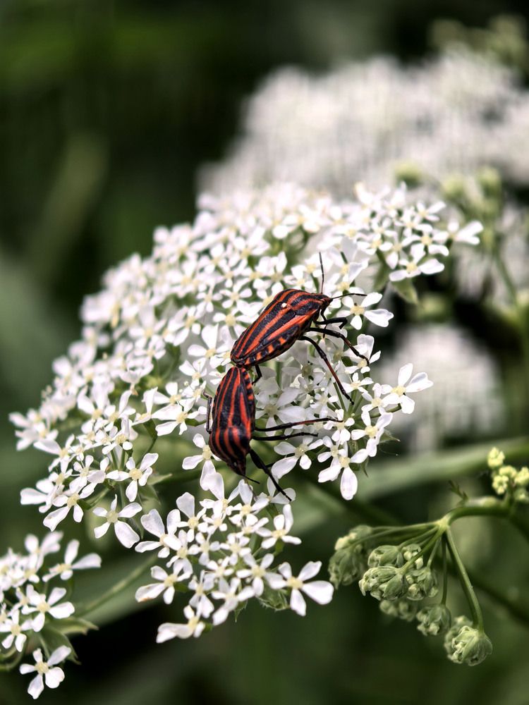 Photograph by Диана Токаревич