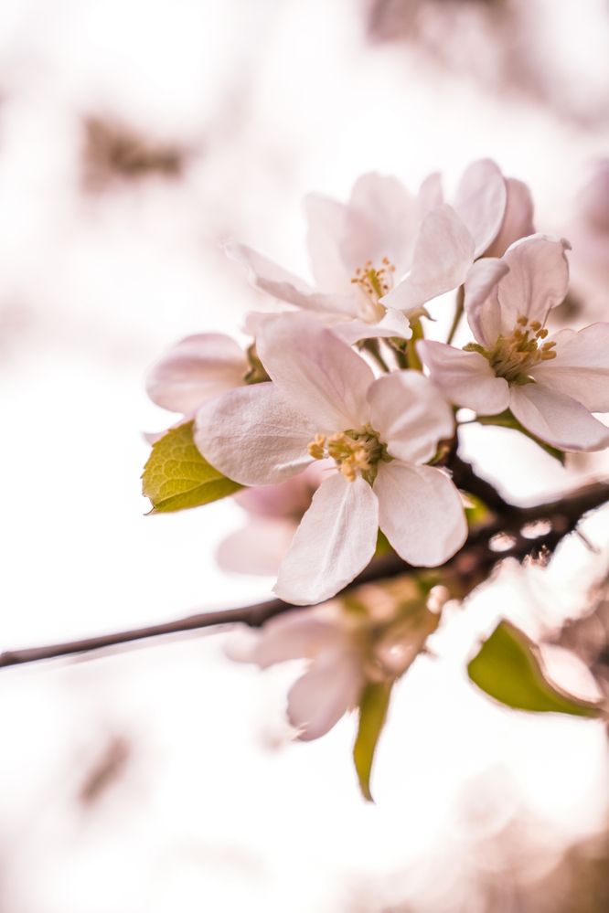 Photograph by Валерия Лунина