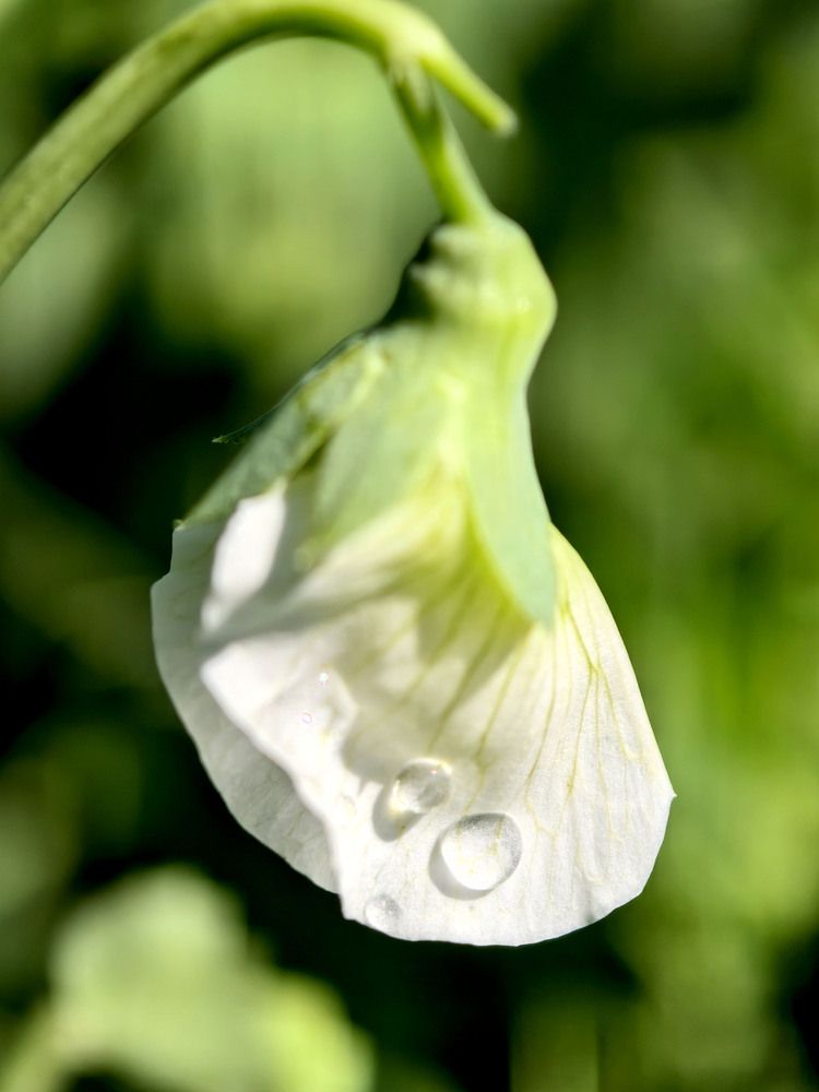 Photograph by Диана Токаревич