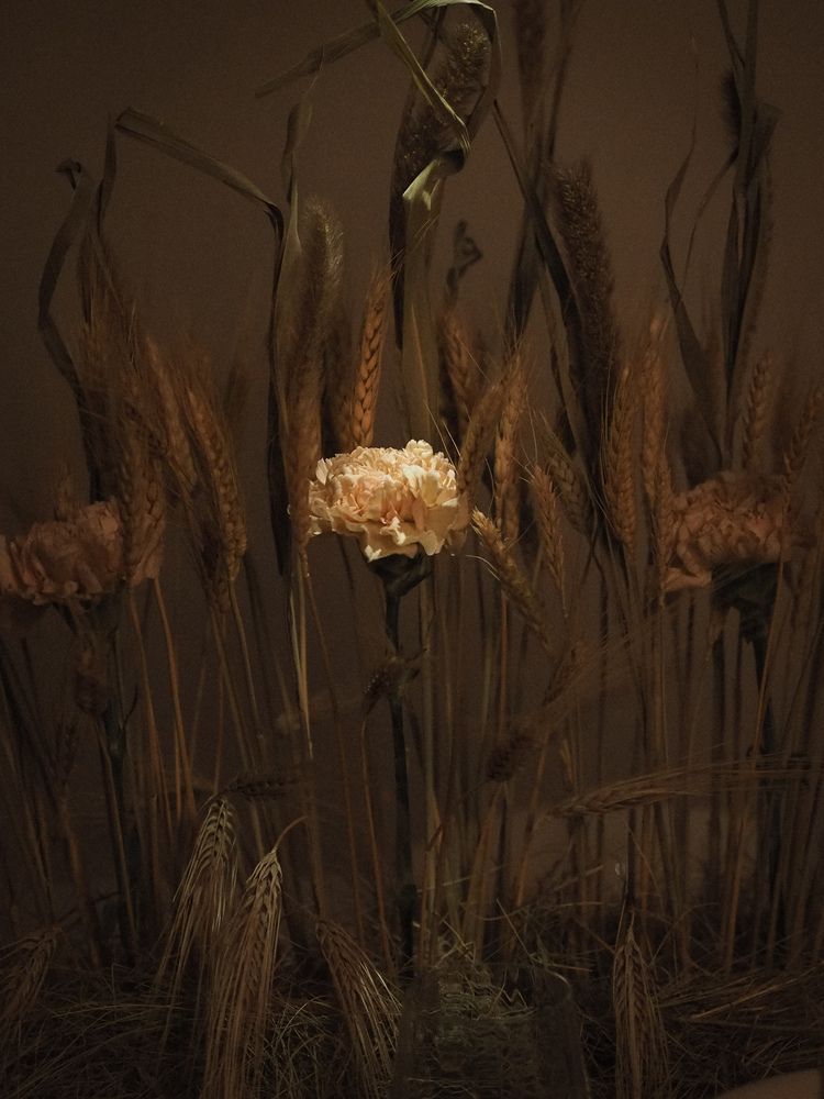 Photograph by Юлия Горбунова