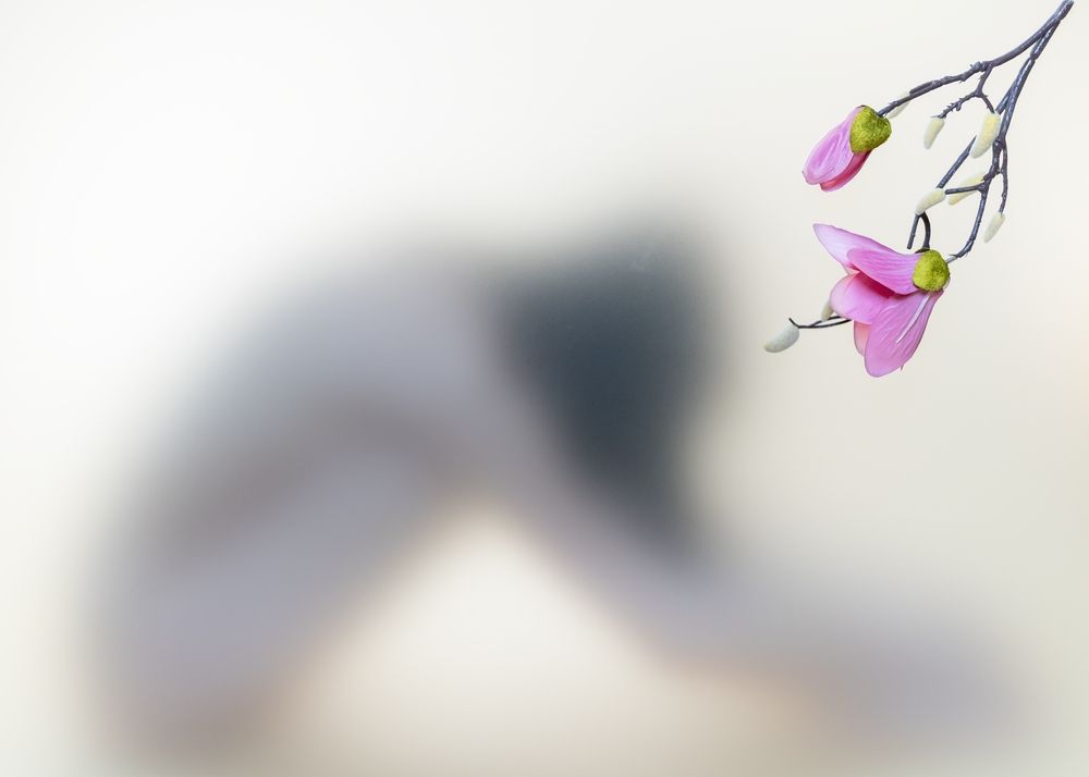 Photograph by Gregory Klosok