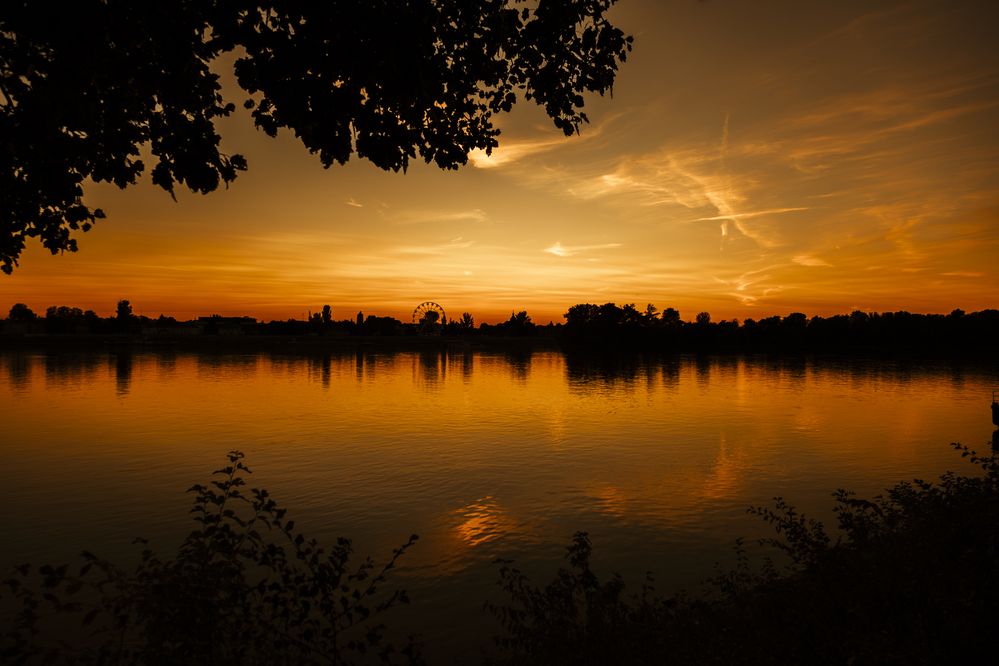 Photograph by Arnold Mécses