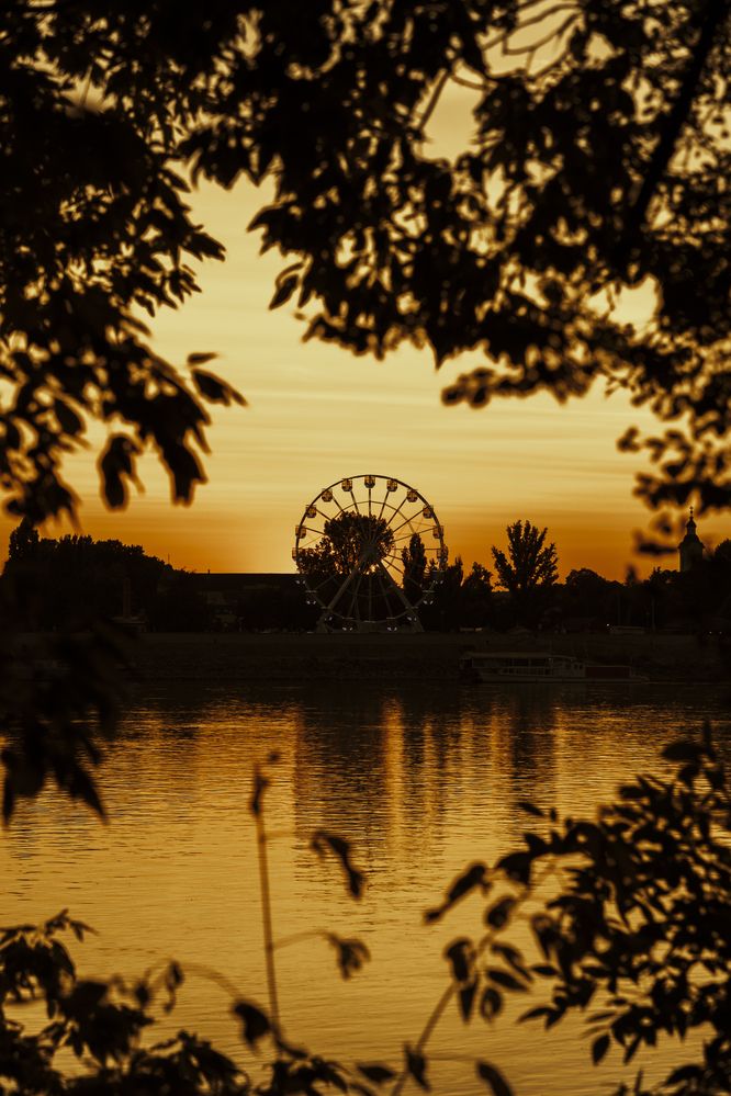 Photograph by Arnold Mécses