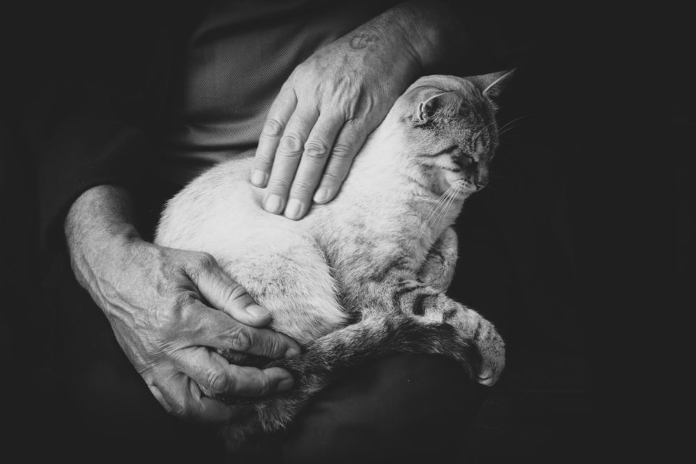 Photograph by Елена
