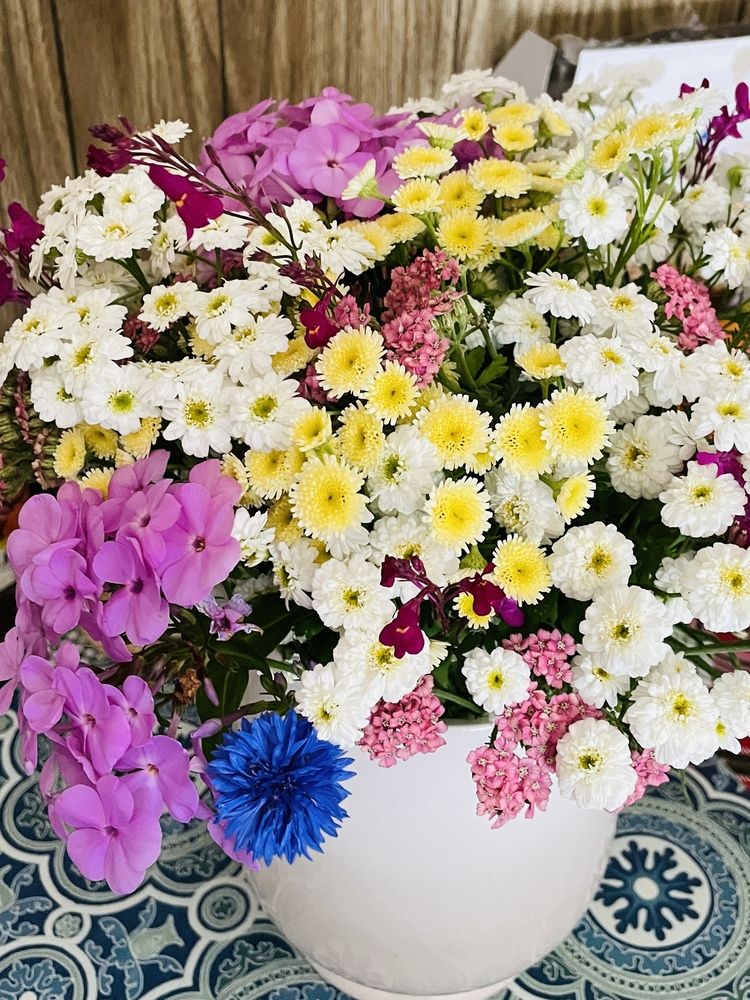 Фотография автора Olga Andriuc