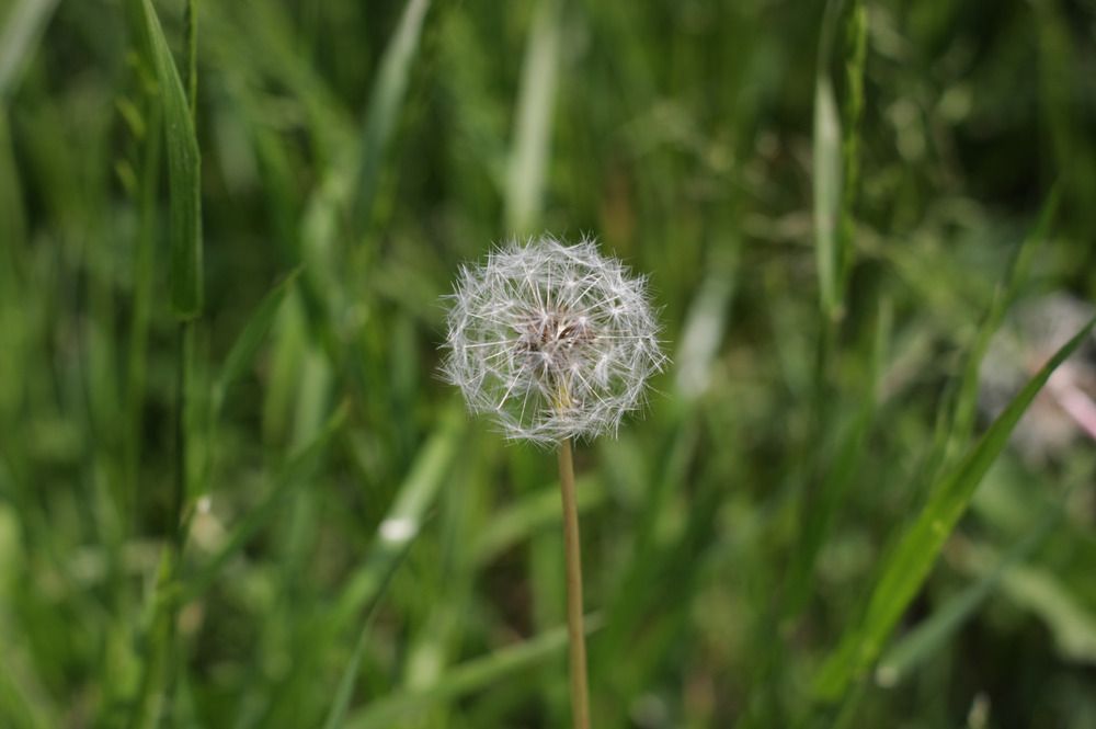 Photograph by Андрей Юдин