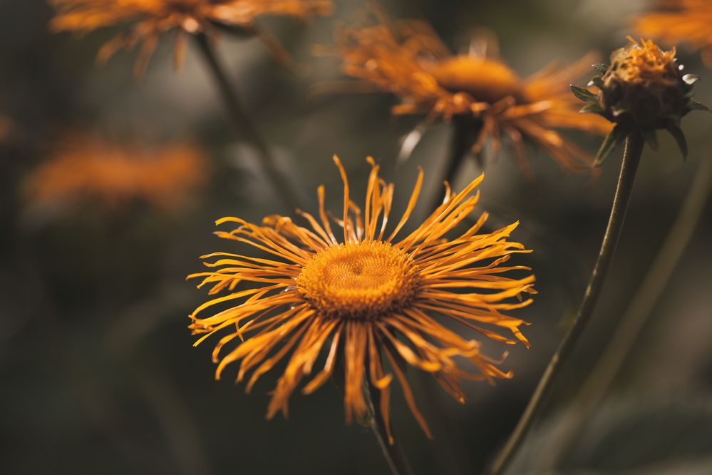 Photograph by Наталия Викторовна