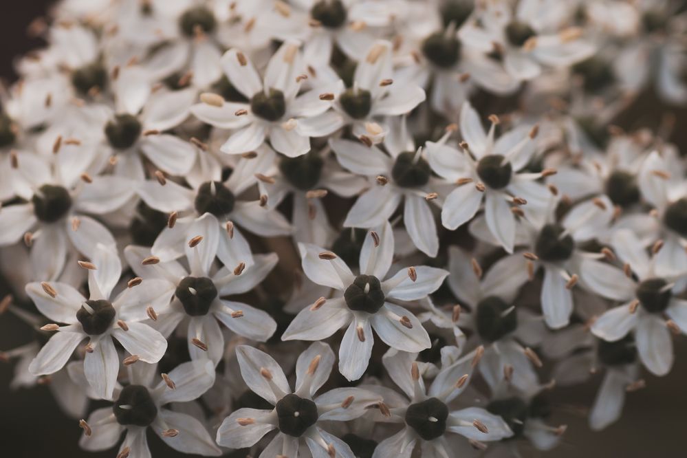 Photograph by Наталия Викторовна