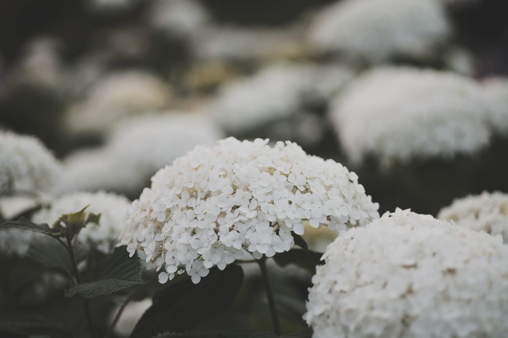 Photograph by Наталия Викторовна