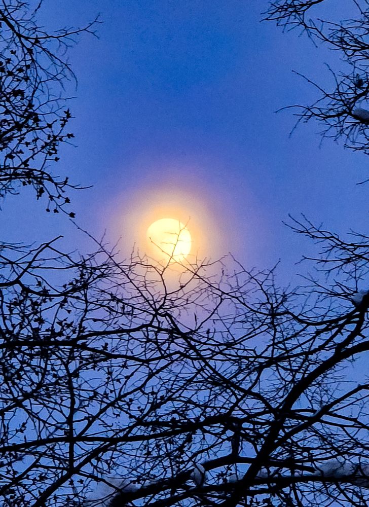 Фотография автора Нина Зинченко