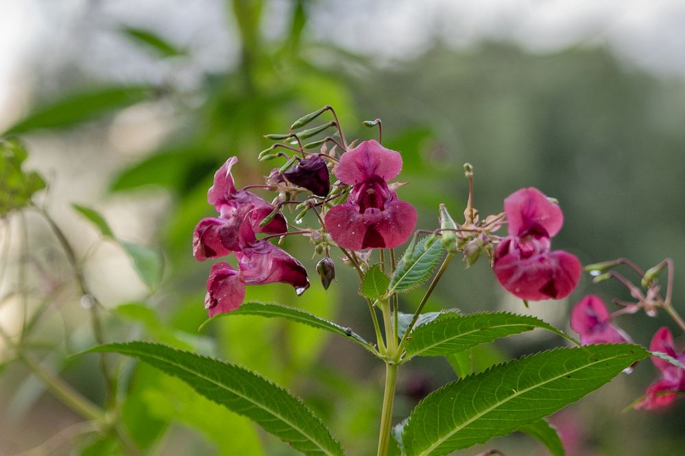 Photograph by Екатерина Рябинина