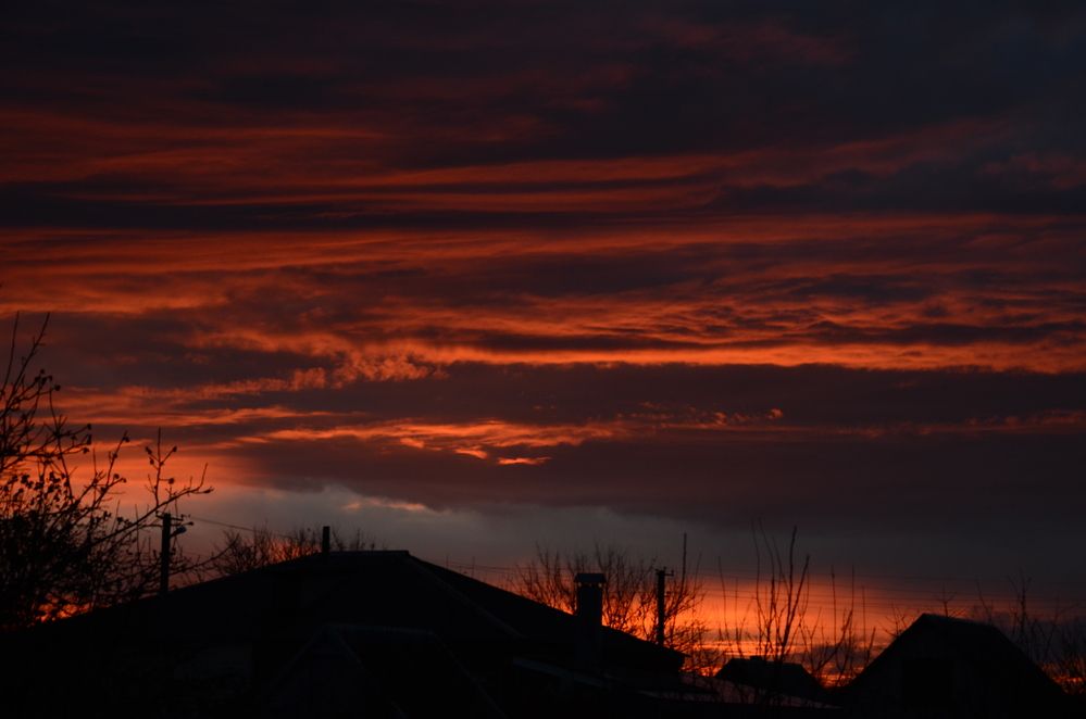 Фотография автора Наталья Алексеева