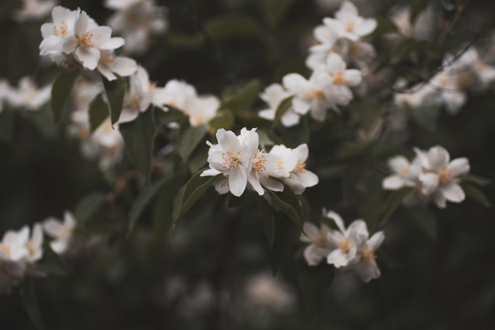 Photograph by Наталия Викторовна