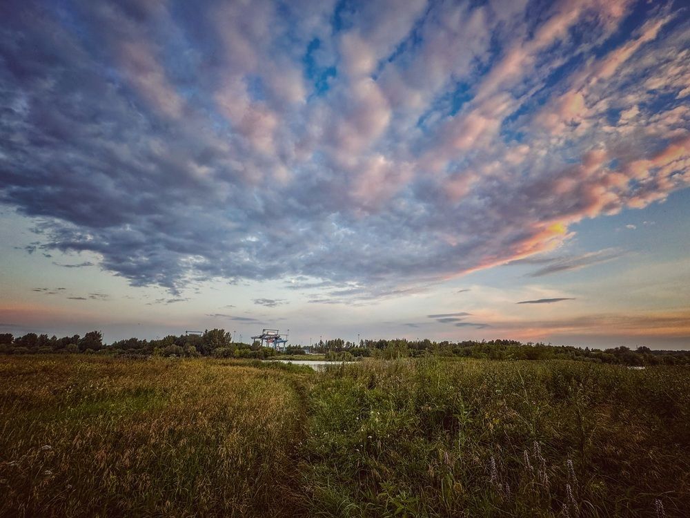 Фотография автора Галина Шиманцова