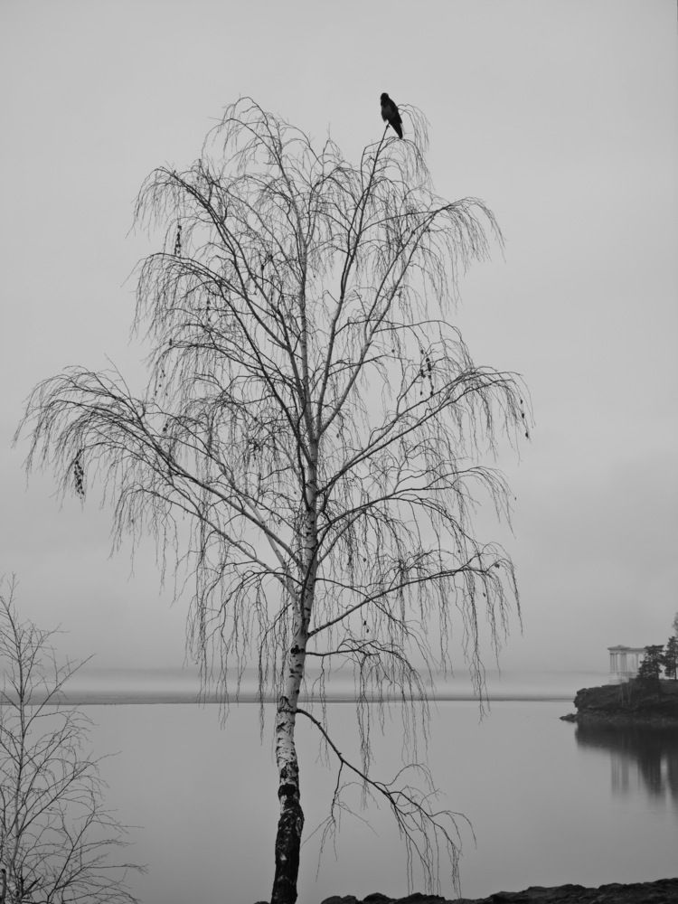 Photograph by Виталий Черепенькин