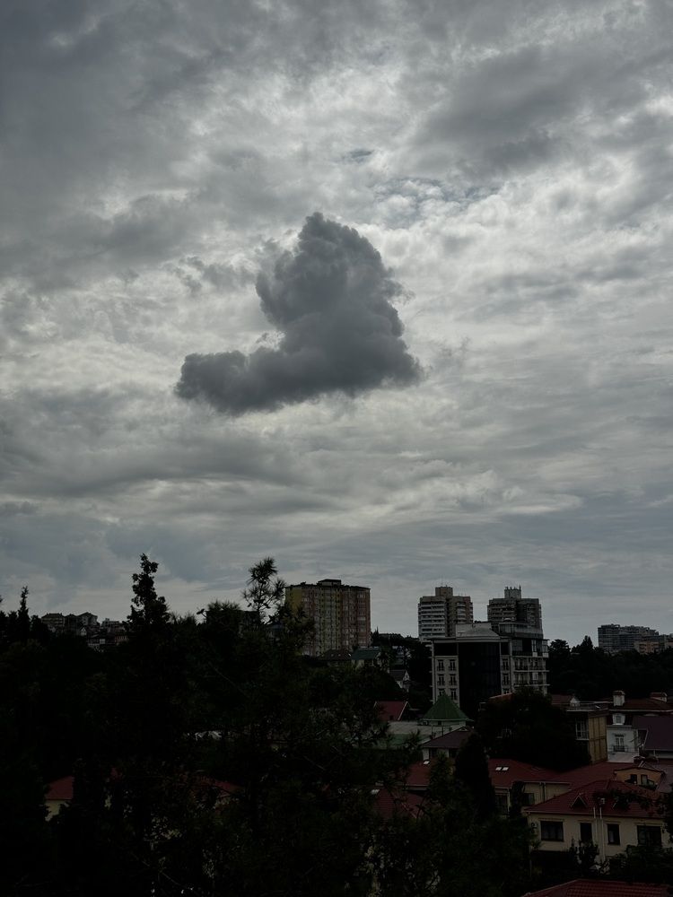 Photograph by Татьяна Смирнова