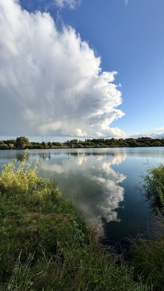 Фотография автора Галина Шиманцова