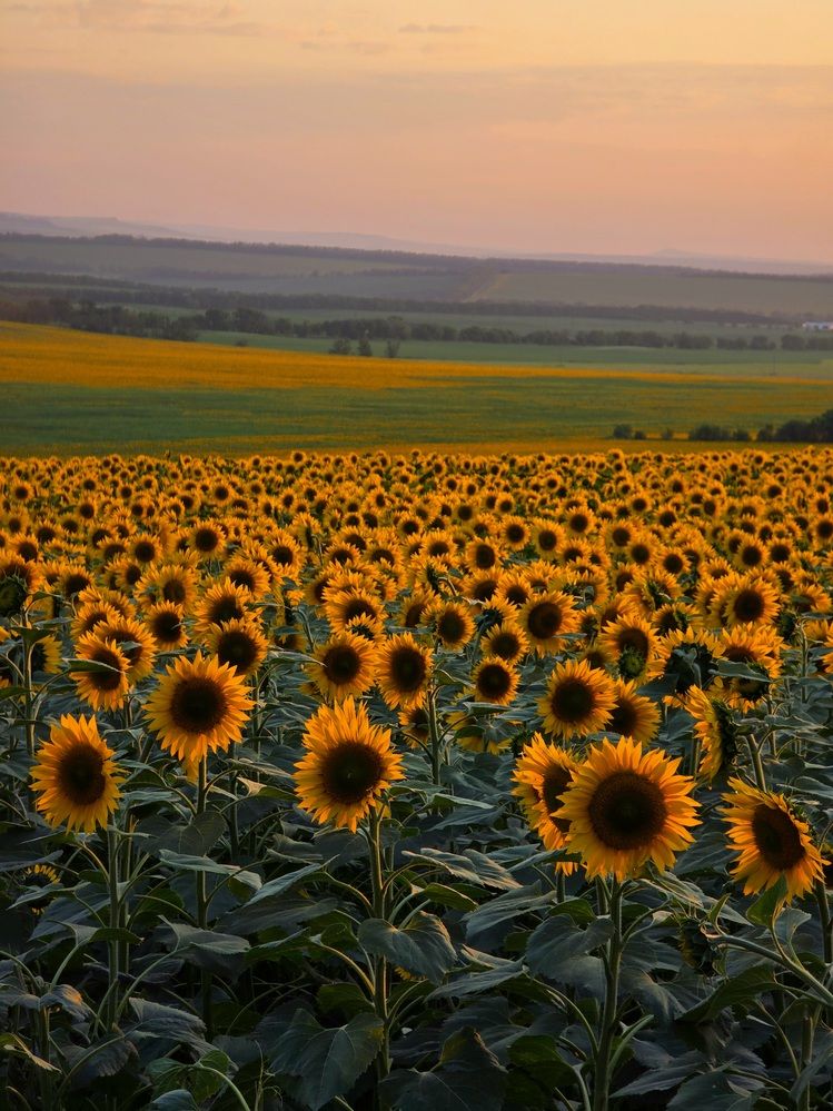 Photograph by Лидия Лащева