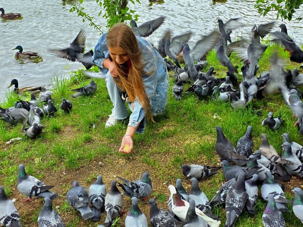 Photograph by Лидия Лащева