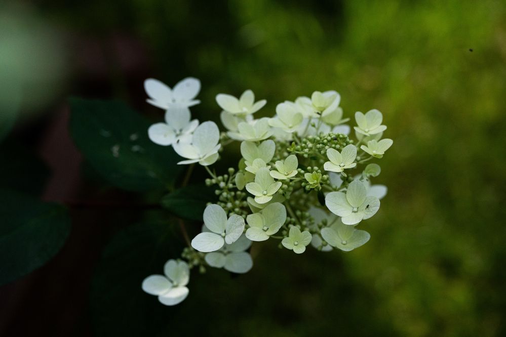 Photograph by Олеся Легостаева